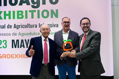 Carretillas Amarte, Premio Desarrollo Empresarial IE2025