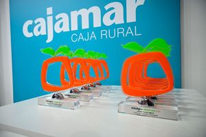 Trofeos de los Premios IE2025