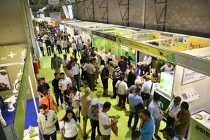 Gran afluencia de visitantes profesionales en los stands de las empresas expositoras