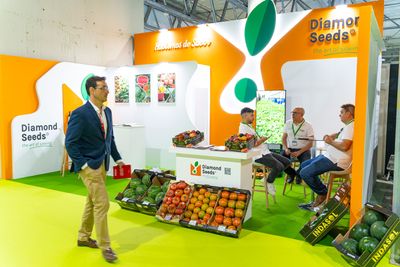 Stand de Diamond Seeds en Infoagro Exhibition 2025