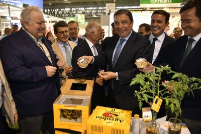 Luis Planas, ministro de Agricultura, conociendo las colmenas de los polinizadores de cultivos