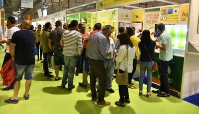 Visitantes profesionales acuden a los stands de las empresas expositoras en Infoagro Exhibition 2019 para conocer sus productos y servicios