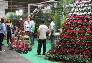 Stand de Sempreflora en Iberflora 2019