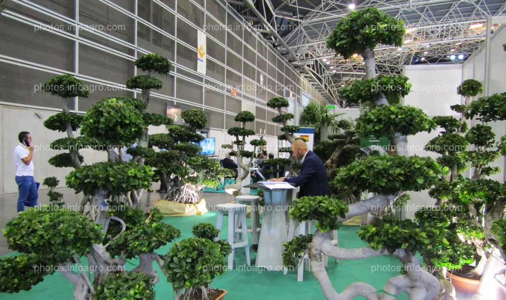 Stand de McPlants en Iberflora 2019