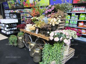 Flores para decoración del hogar, expuestas en Iberflora 2019