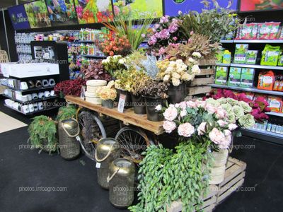 Flores para decoración del hogar, expuestas en Iberflora 2019