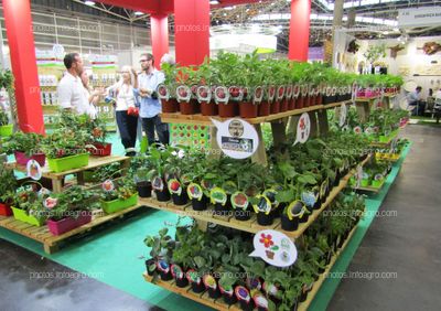 Hortalizas para el cultivo doméstico expuestos en el stand de Fitoralia en Iberflora 2019