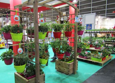 Hortalizas para cultivo doméstico en el stand de Fitoralia