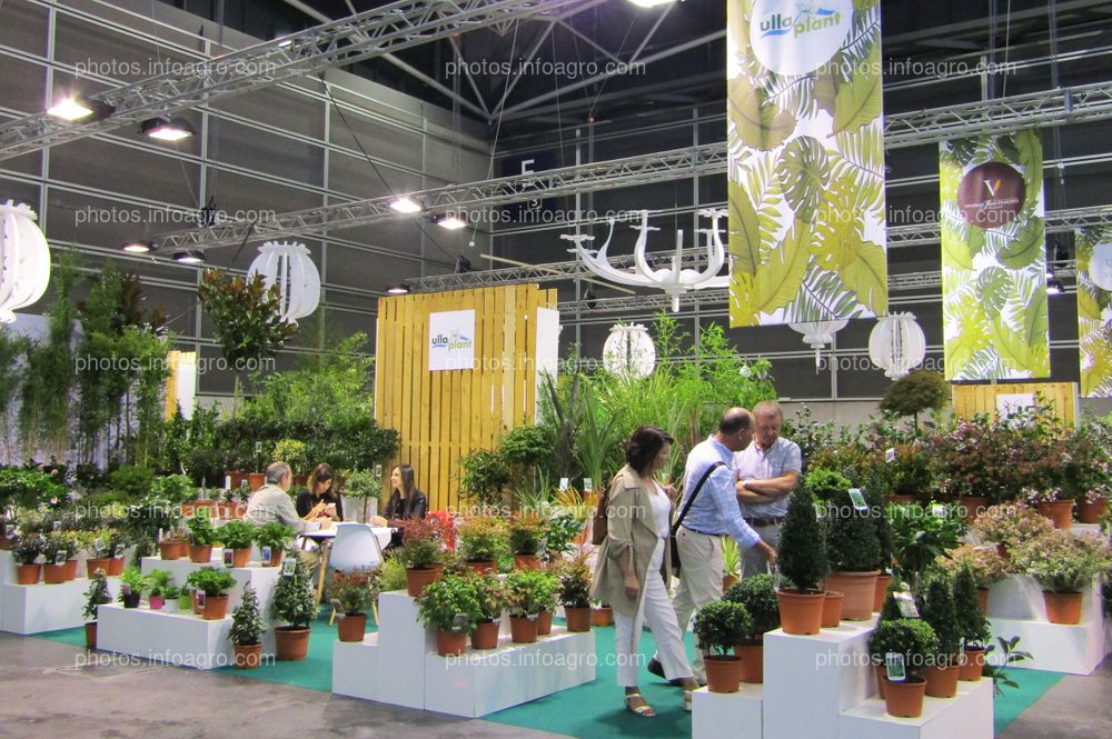 Visitantes de Iberflora 2019 en el stand de Ulla Plant