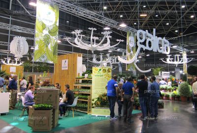 Visitantes de Iberflora 2019 en el stand de Vivergal