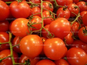 Tomate en rama