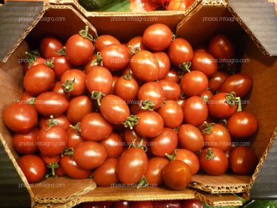 Tomate pera en caja