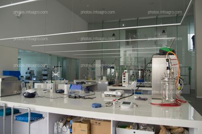 Laboratorio de microalgas del MAAVi de Kimitec
