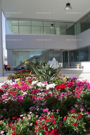 Uno de los jardines con que cuenta el MAAVi, junto a las que serán las futuras oficinas de marketing de la compañía