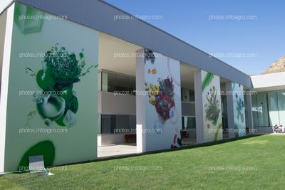 Graffiti sobre las cuatro áreas que forman parte de la tecnología 4Health de Kimitec: química verde, microbiología, microalgas y botánica